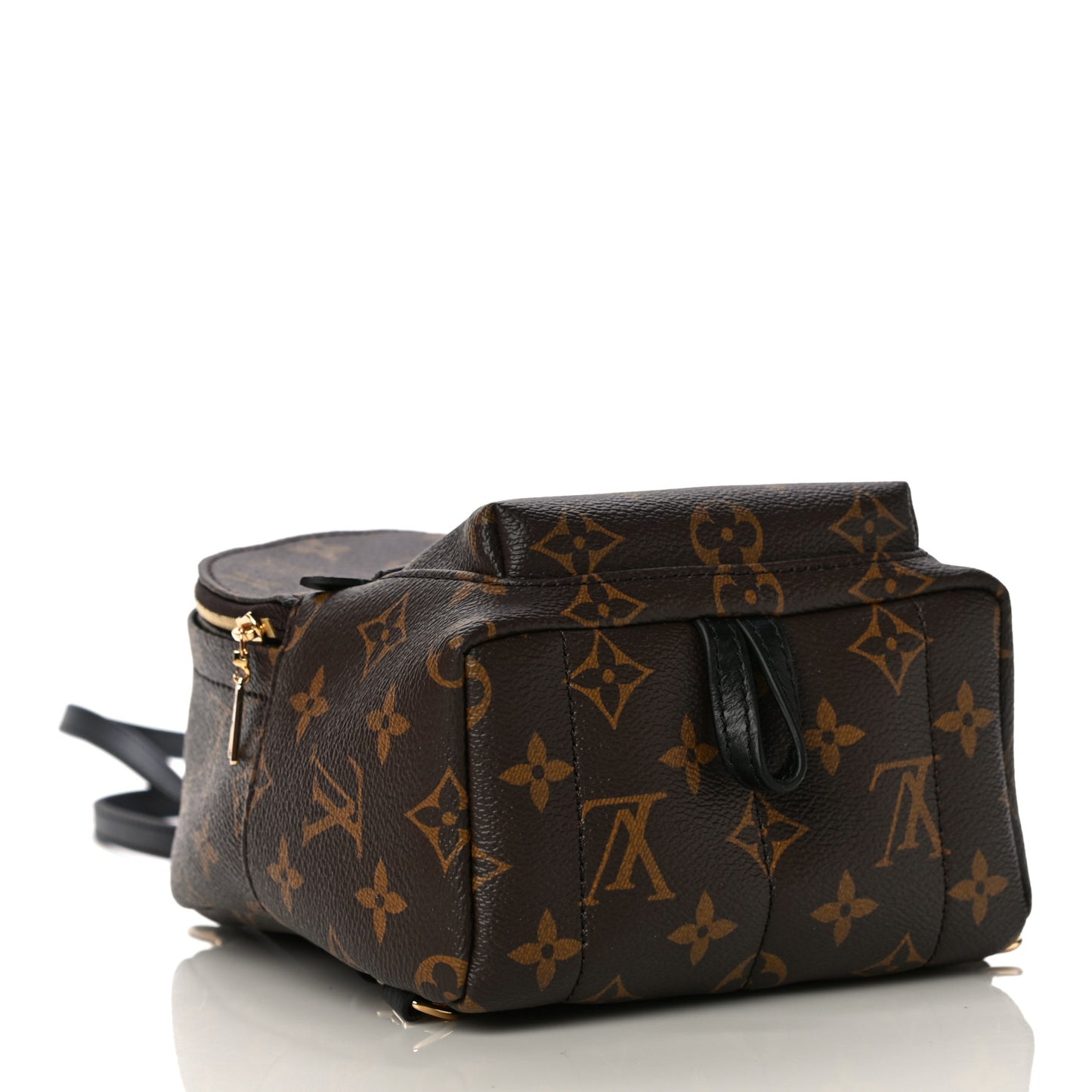 Monogram Palm Springs Backpack Mini