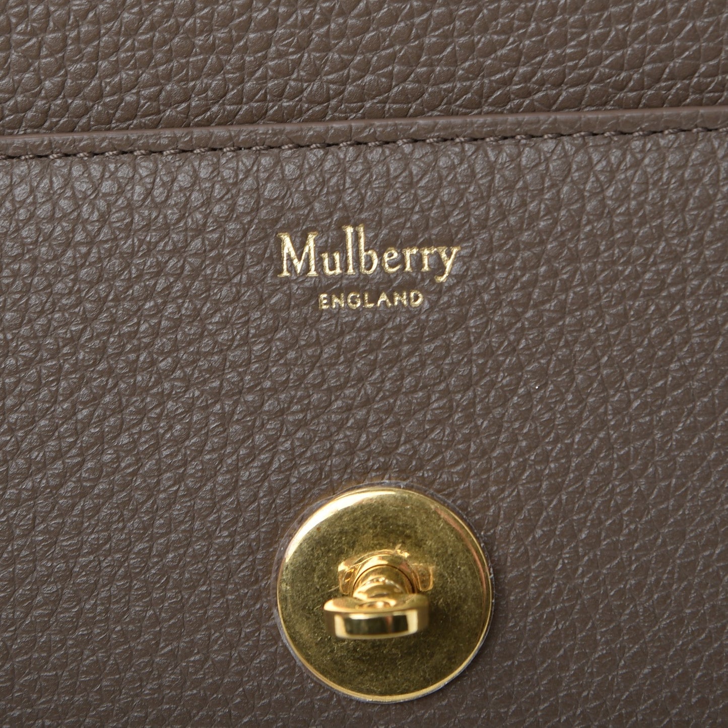 Small Classic Grain Calfskin Small Darley Clay