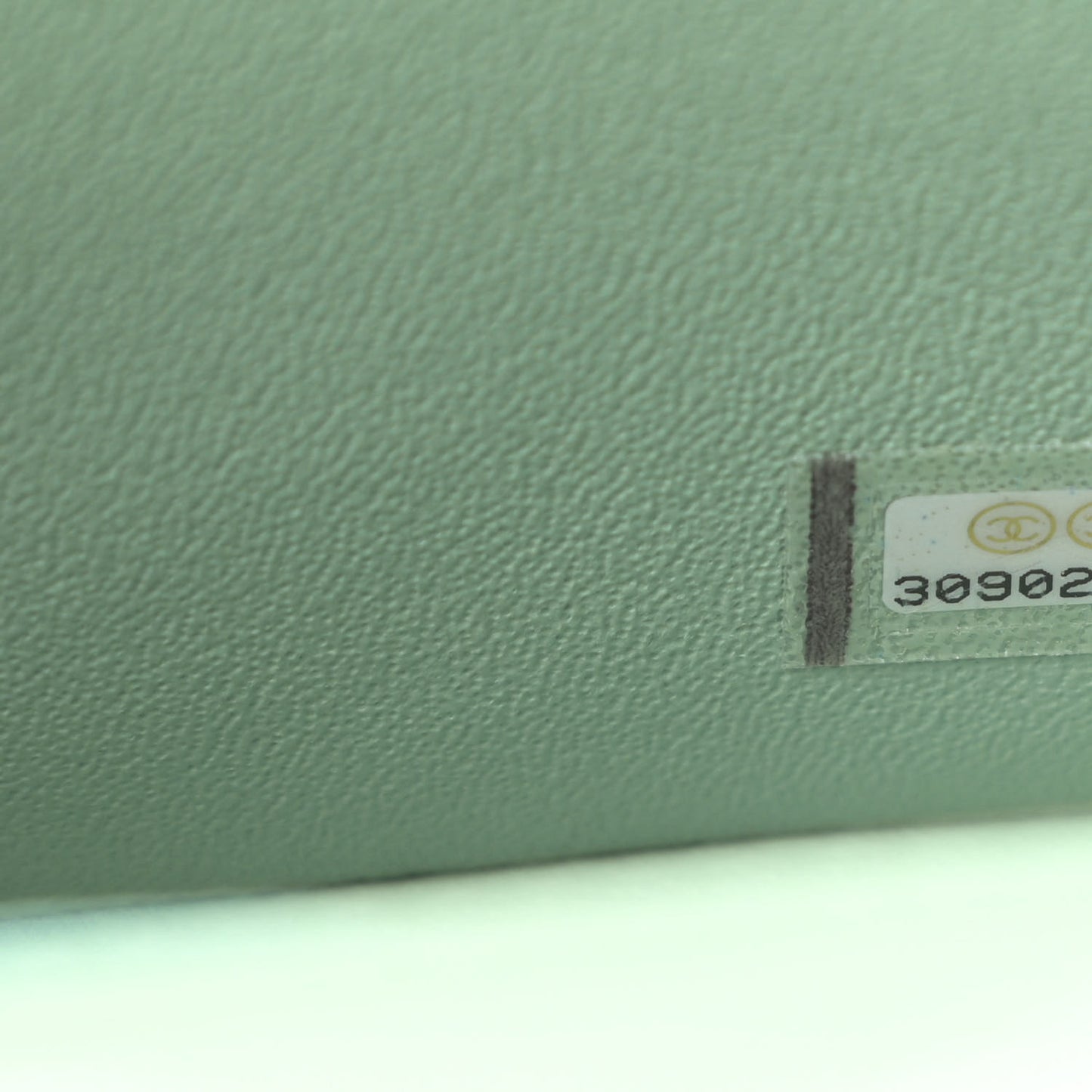 Lambskin Quilted Mini Rectangular Flap Light Green