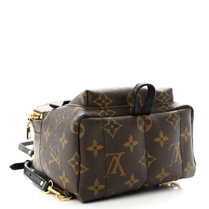 Louis Vuitton Monogram Palm Springs Backpack Mini 4 of 9