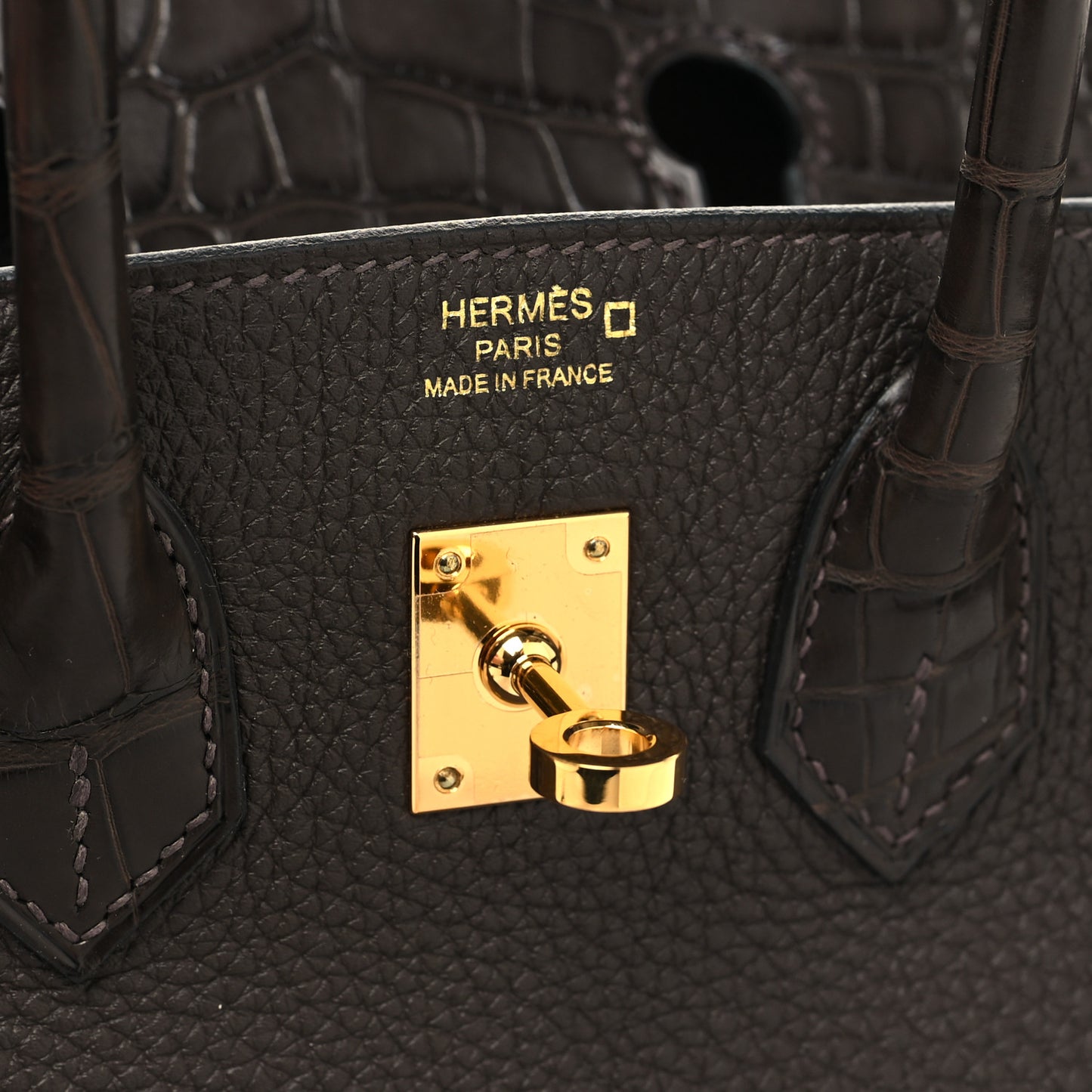 Togo Matte Alligator Birkin Touch 25 Ebene