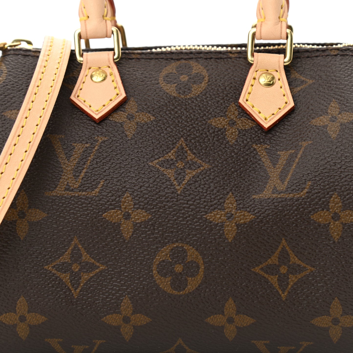 Monogram Nano Speedy