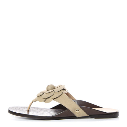 Chanel Fabric Camellia Thong Sandals 40 Beige 1 of 9