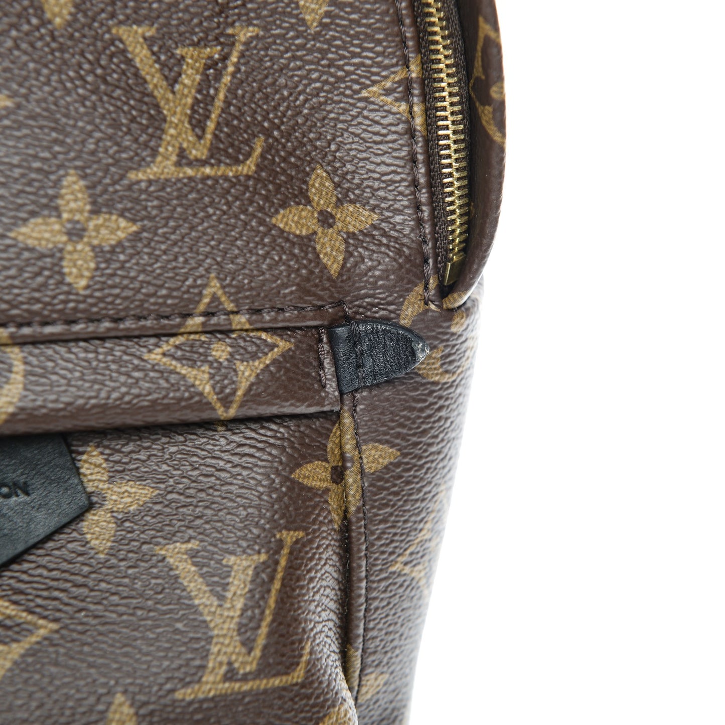 Monogram Palm Springs Backpack Mini