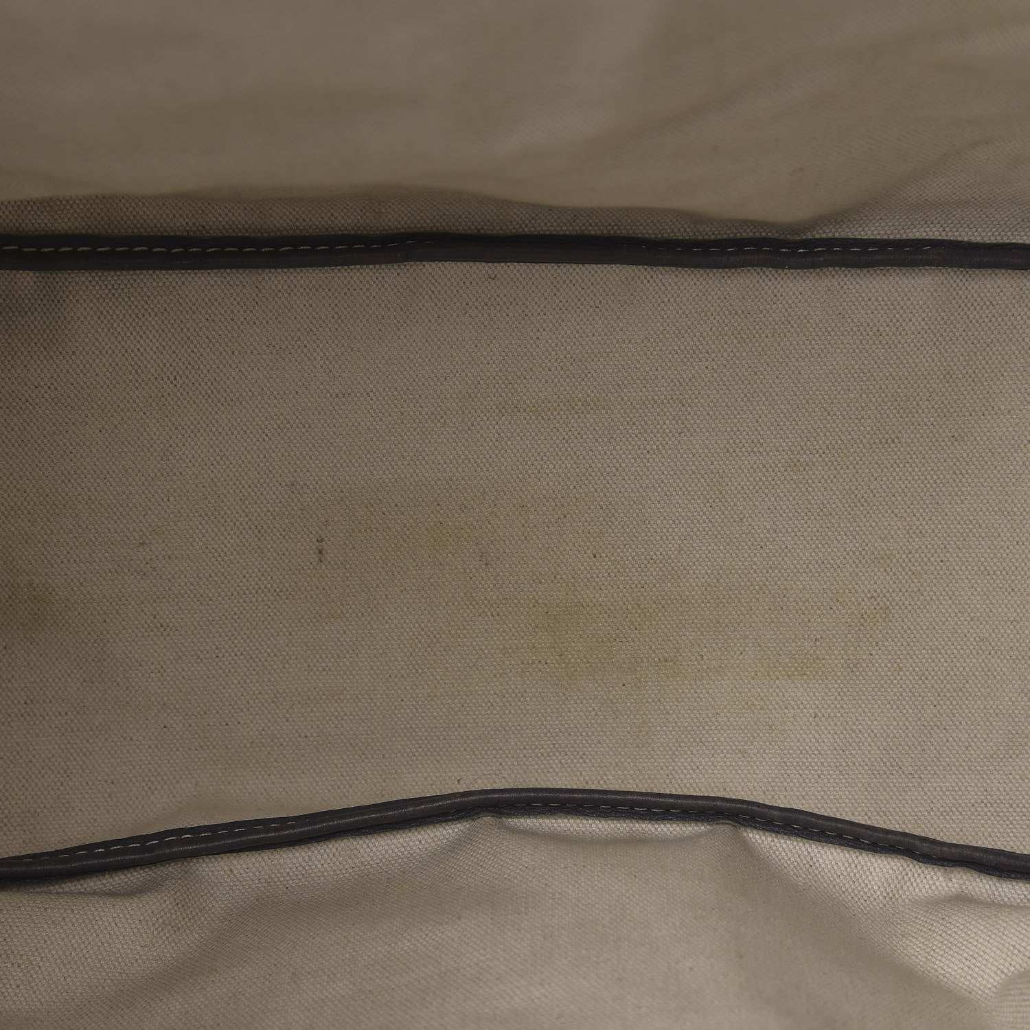 Goyard Goyardine Saint Louis PM Grey 9 of 12