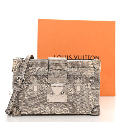 Louis Vuitton Lizard Petite Malle Silver 11 of 11