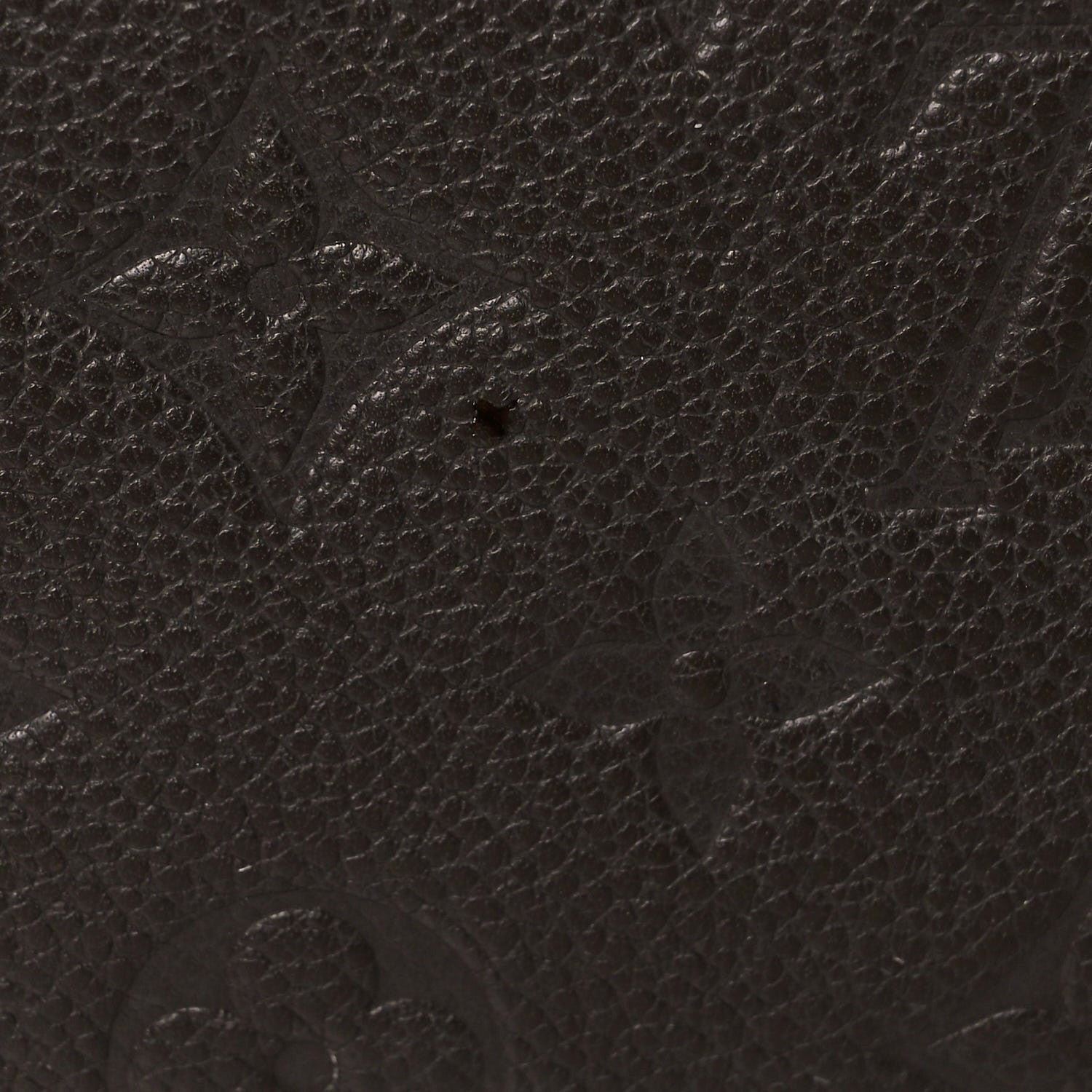 Louis Vuitton Empreinte Curieuse Wallet Earth 11 of 11