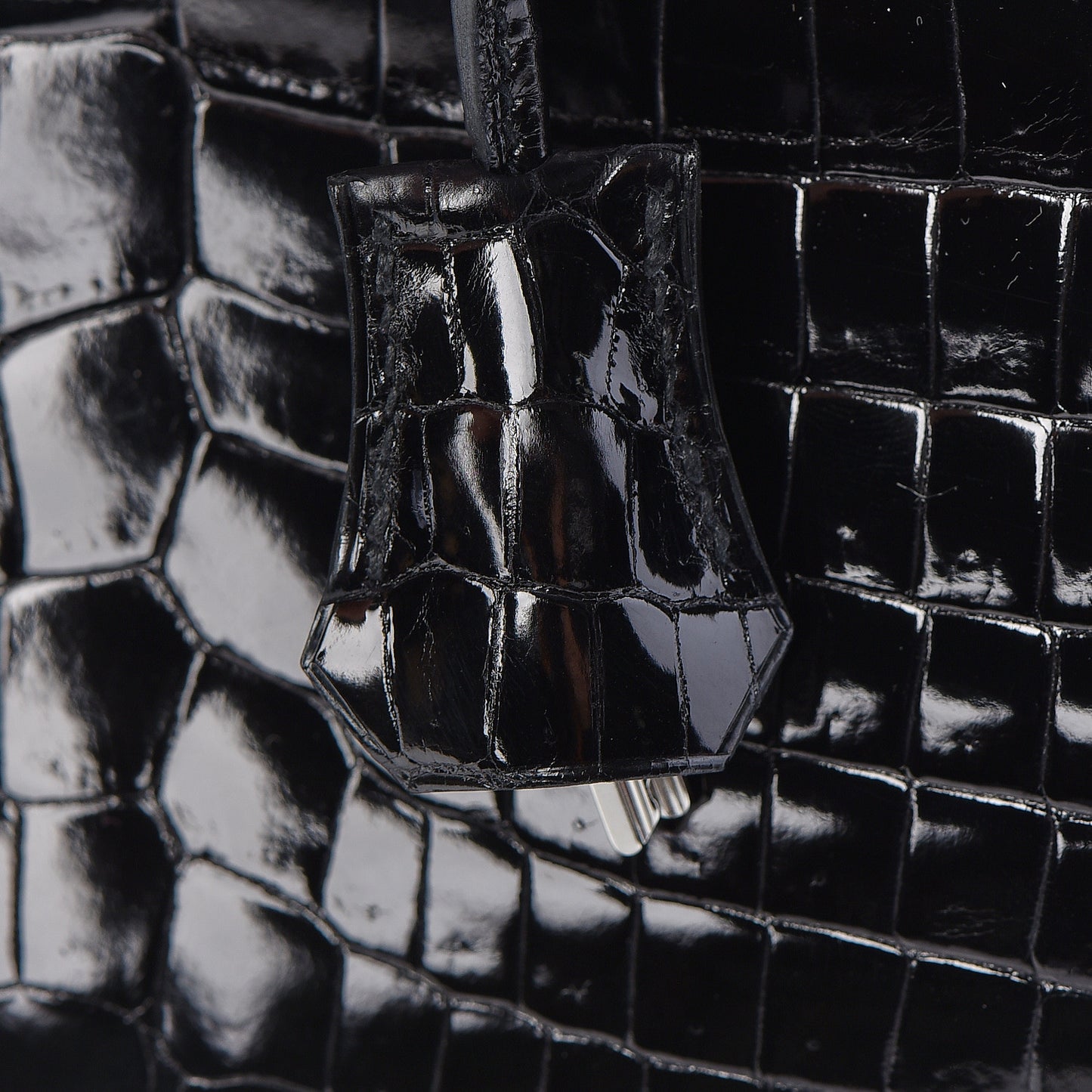 Shiny Niloticus Crocodile Birkin 25 Black