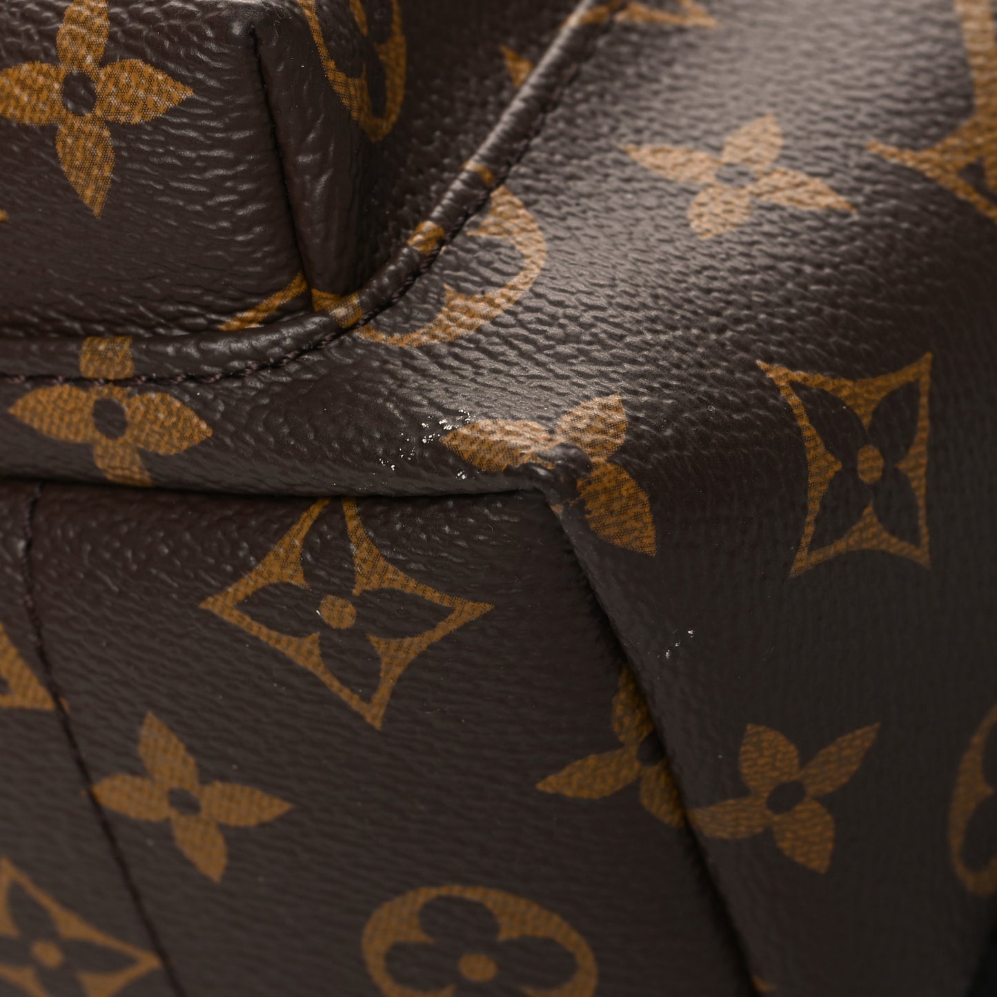Monogram Palm Springs Backpack PM