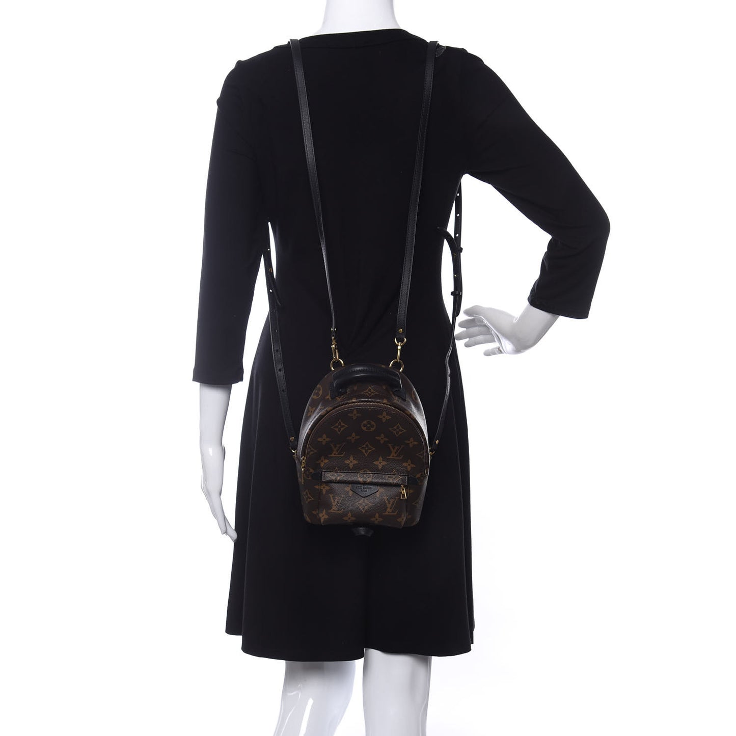 Monogram Palm Springs Backpack Mini