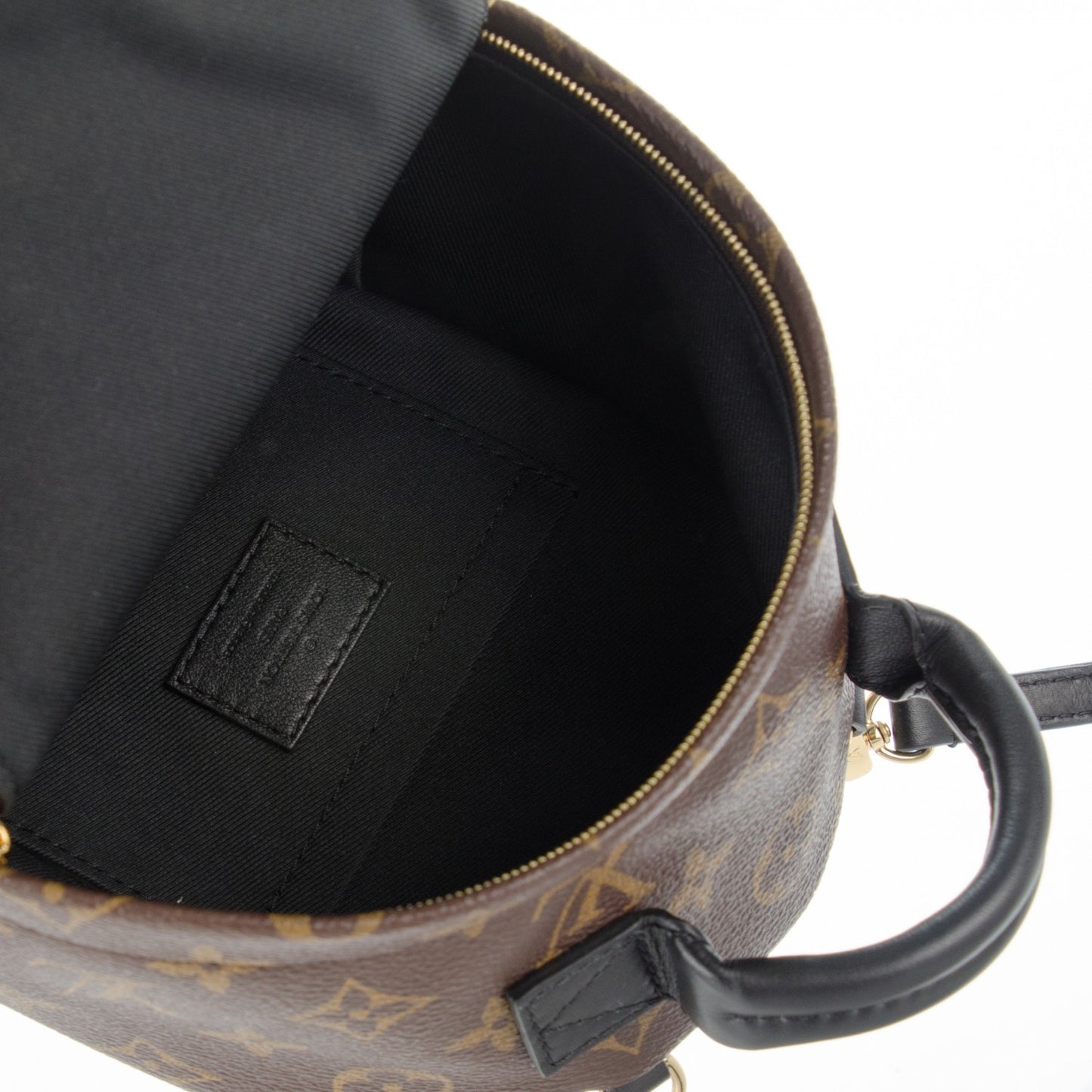 Monogram Palm Springs Backpack Mini