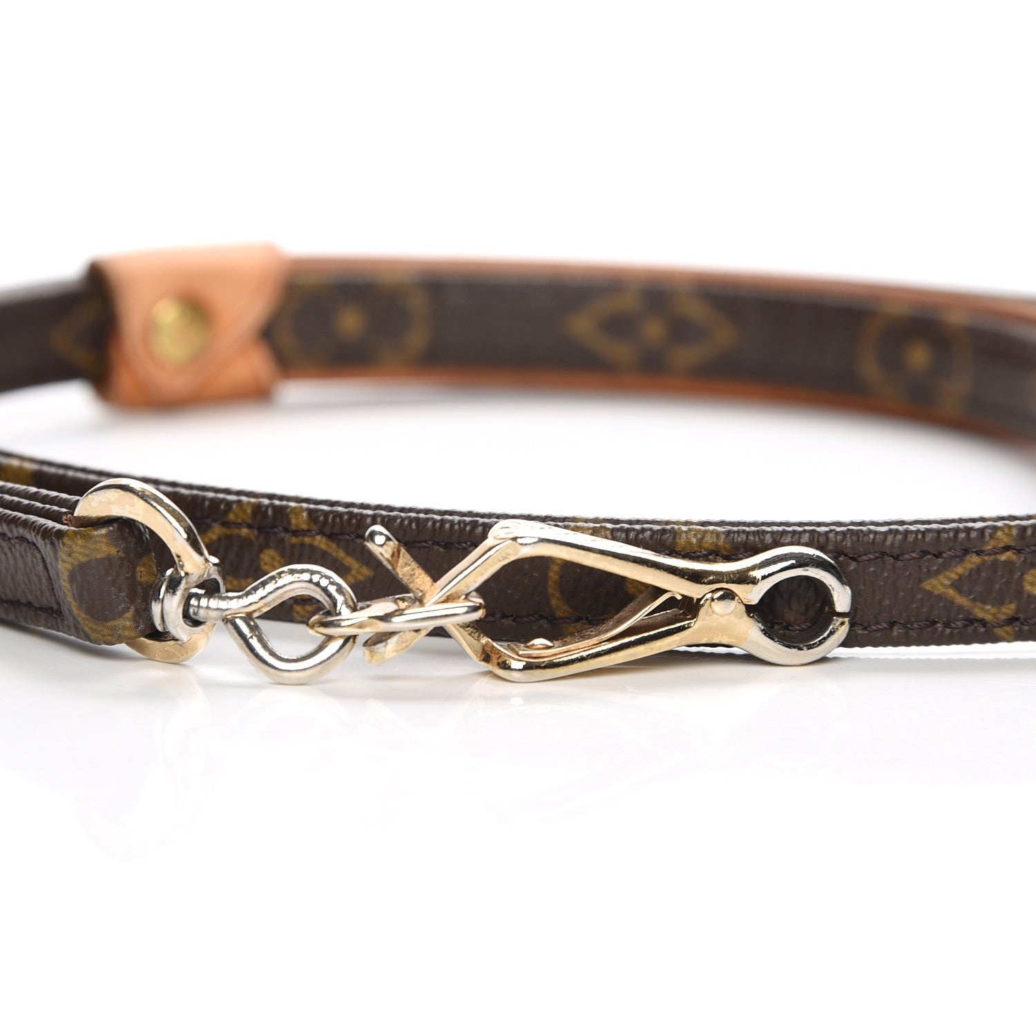 Louis Vuitton Monogram Baxter Dog Leash MM 4 of 5