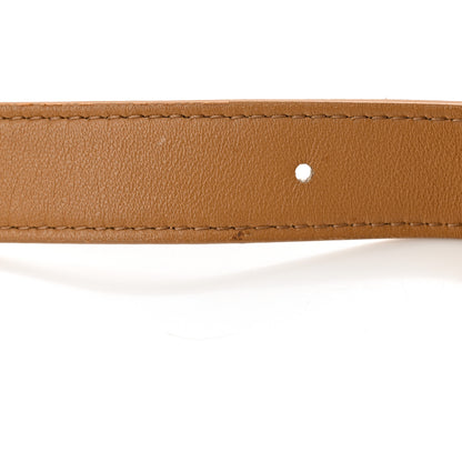 Bottega Veneta BOTTEGA VENETA Nappa Maxi Intreccio Padded Cassette Crossbody Bag Caramel 14 of 15