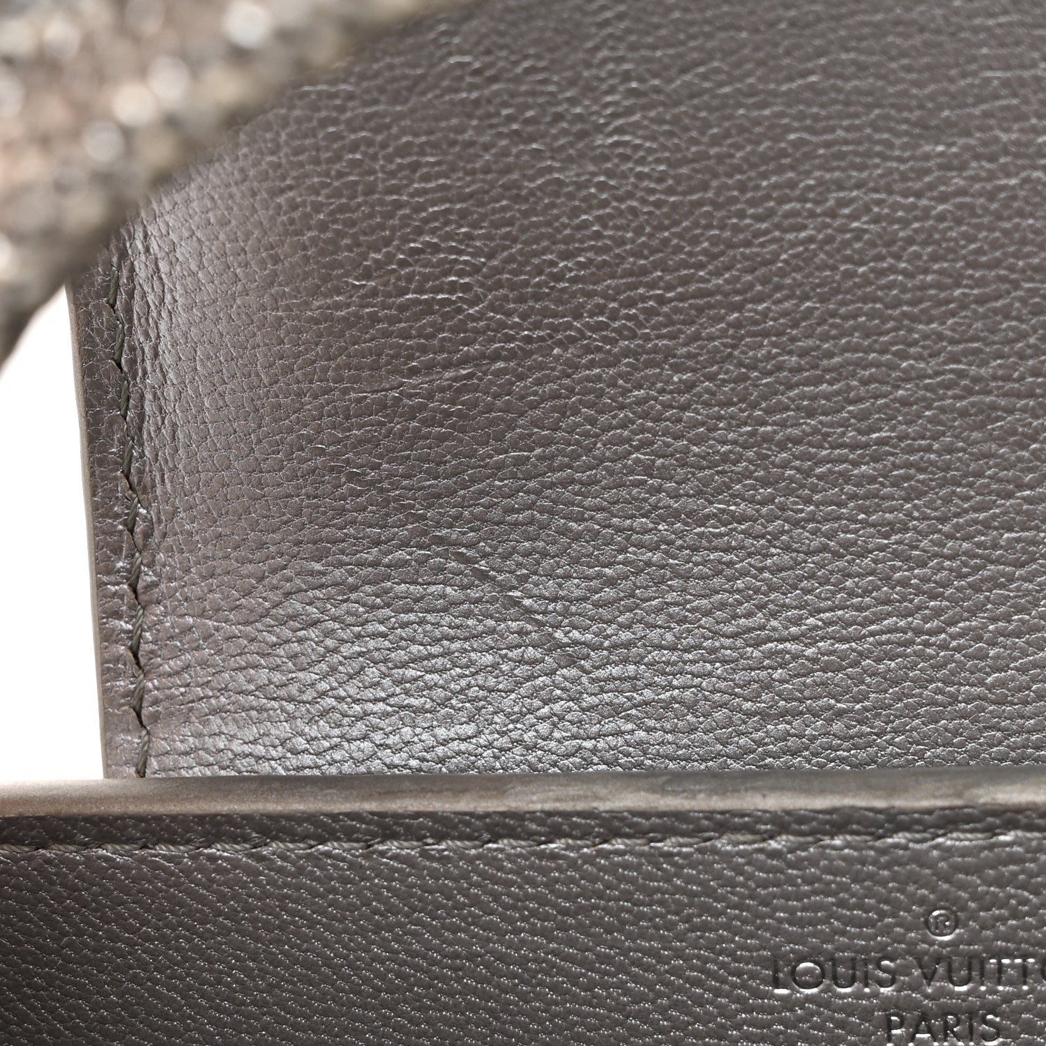 Louis Vuitton Lizard Mini Capucines Argento 10 of 10
