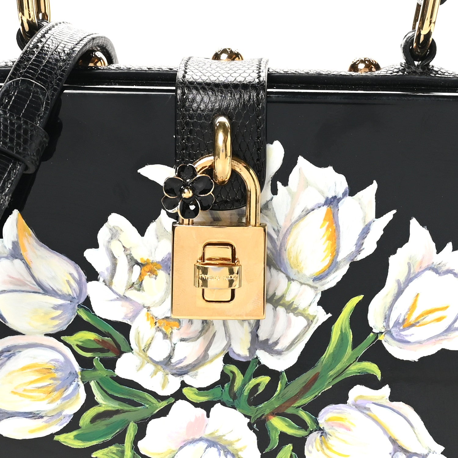 Dolce & Gabbana Plexiglass Calfskin Lizard Embossed Floral Box Bag Black 7 of 11
