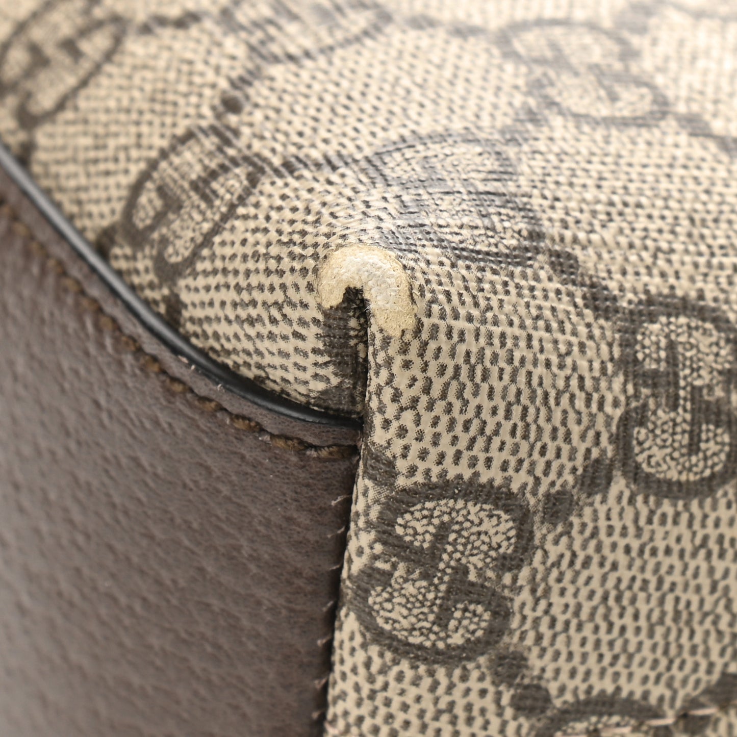 GG Supreme Monogram Textured Dollar Calfskin Web Small Ophidia Dome Shoulder Bag Beige Ebony New Acero
