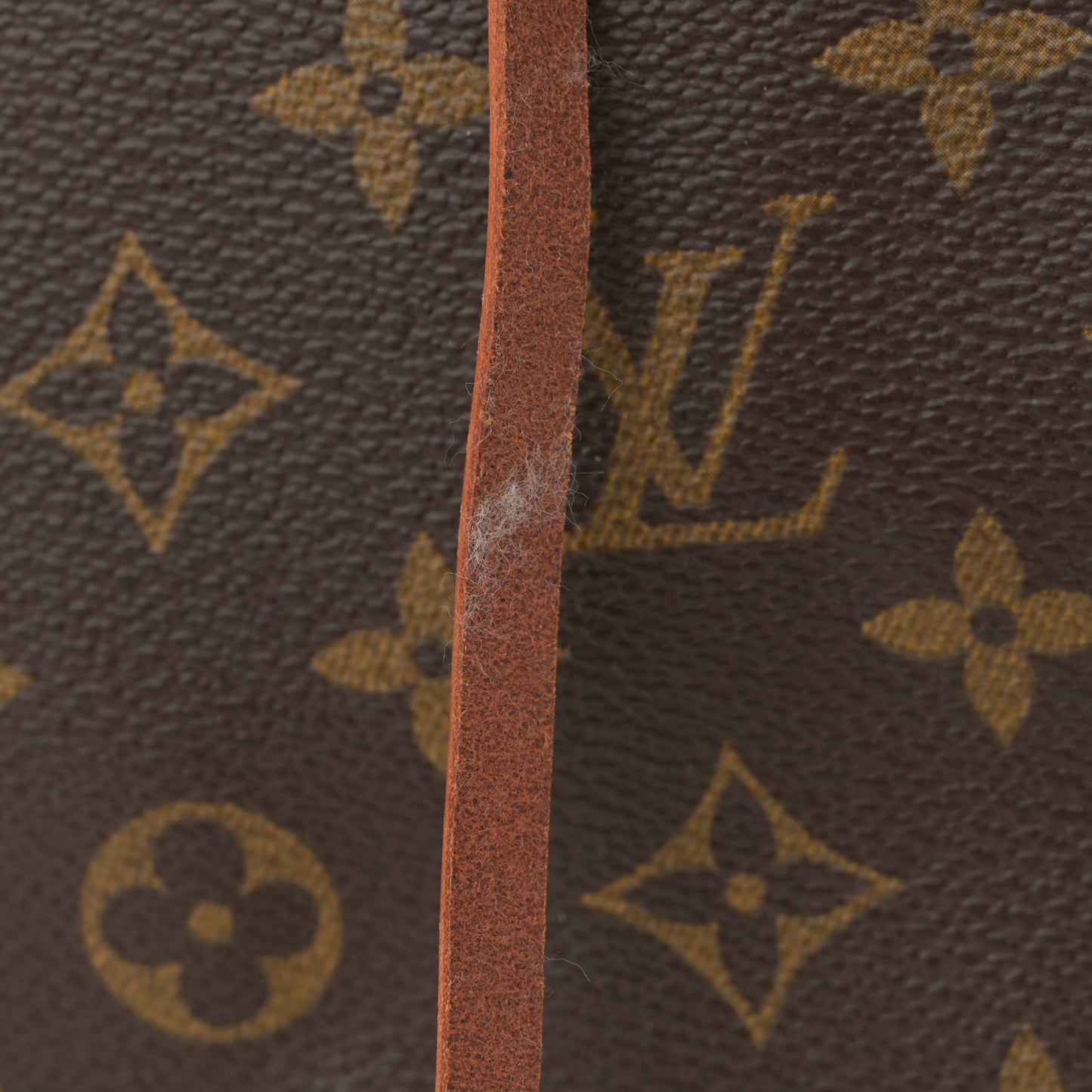 Monogram Noe