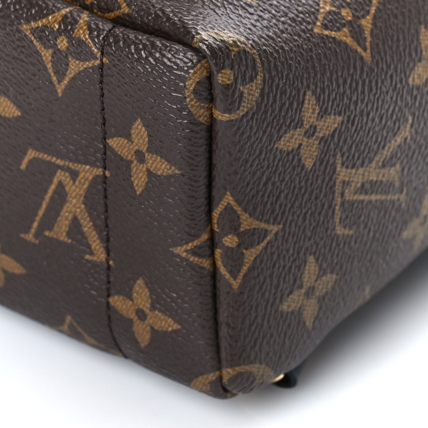 Monogram Palm Springs Backpack Mini