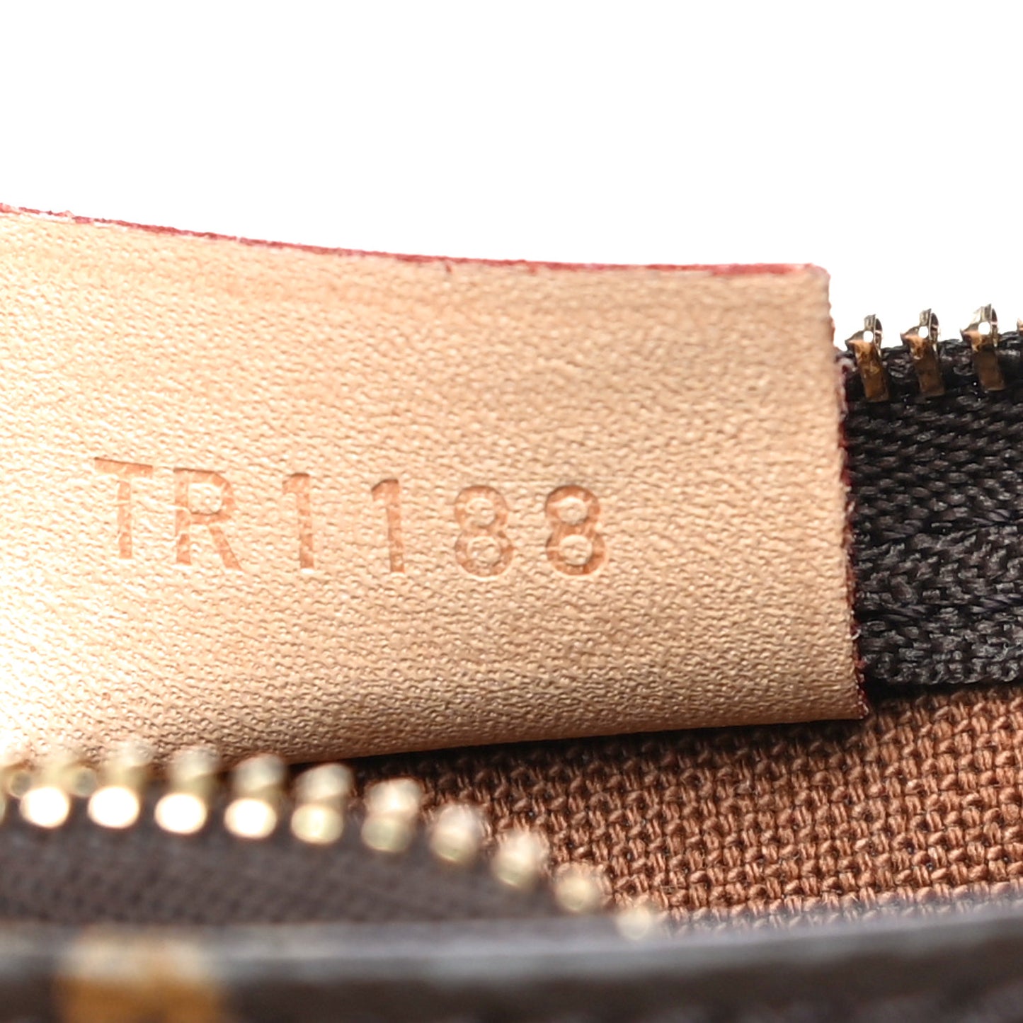 Monogram Nano Speedy