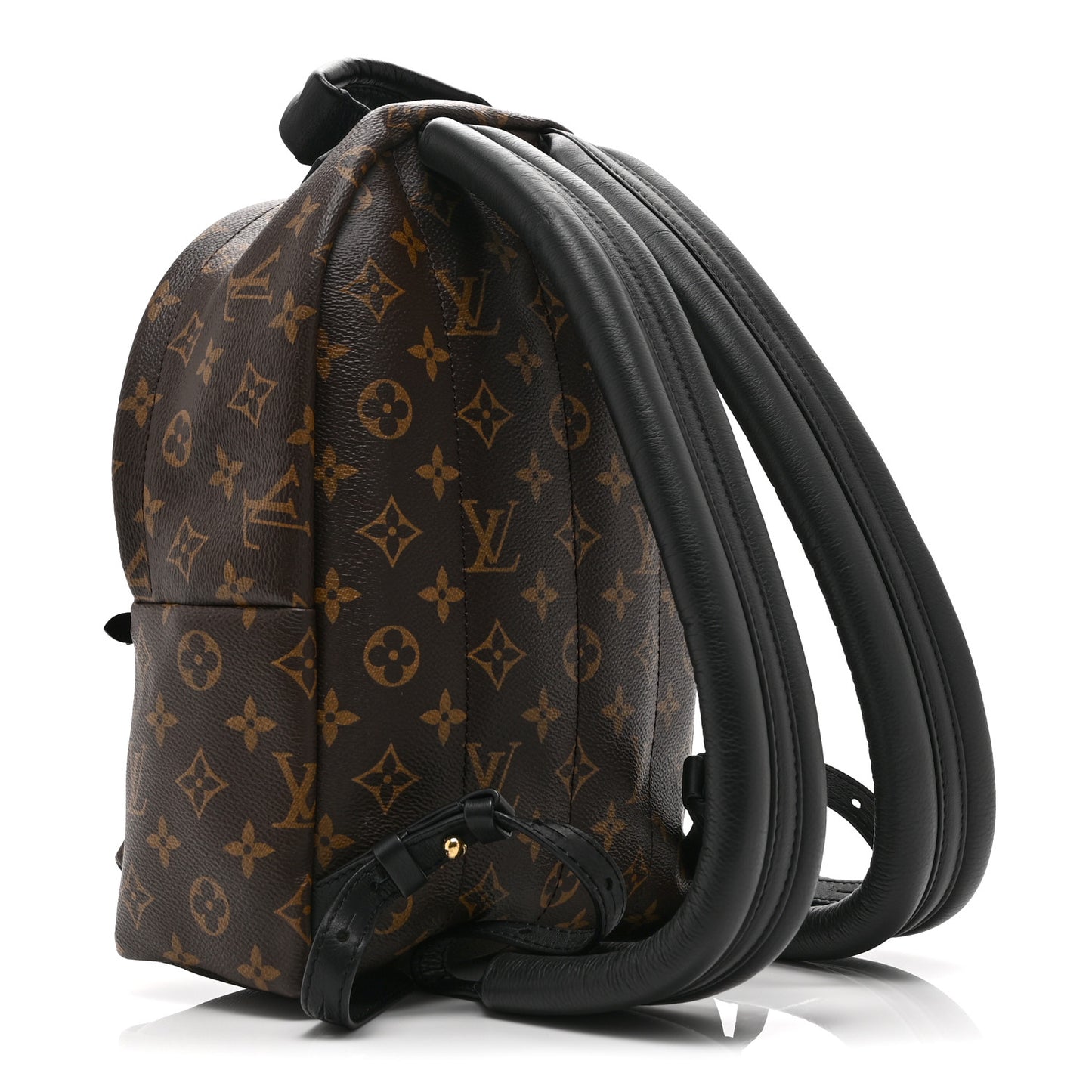 Monogram Palm Springs Backpack PM