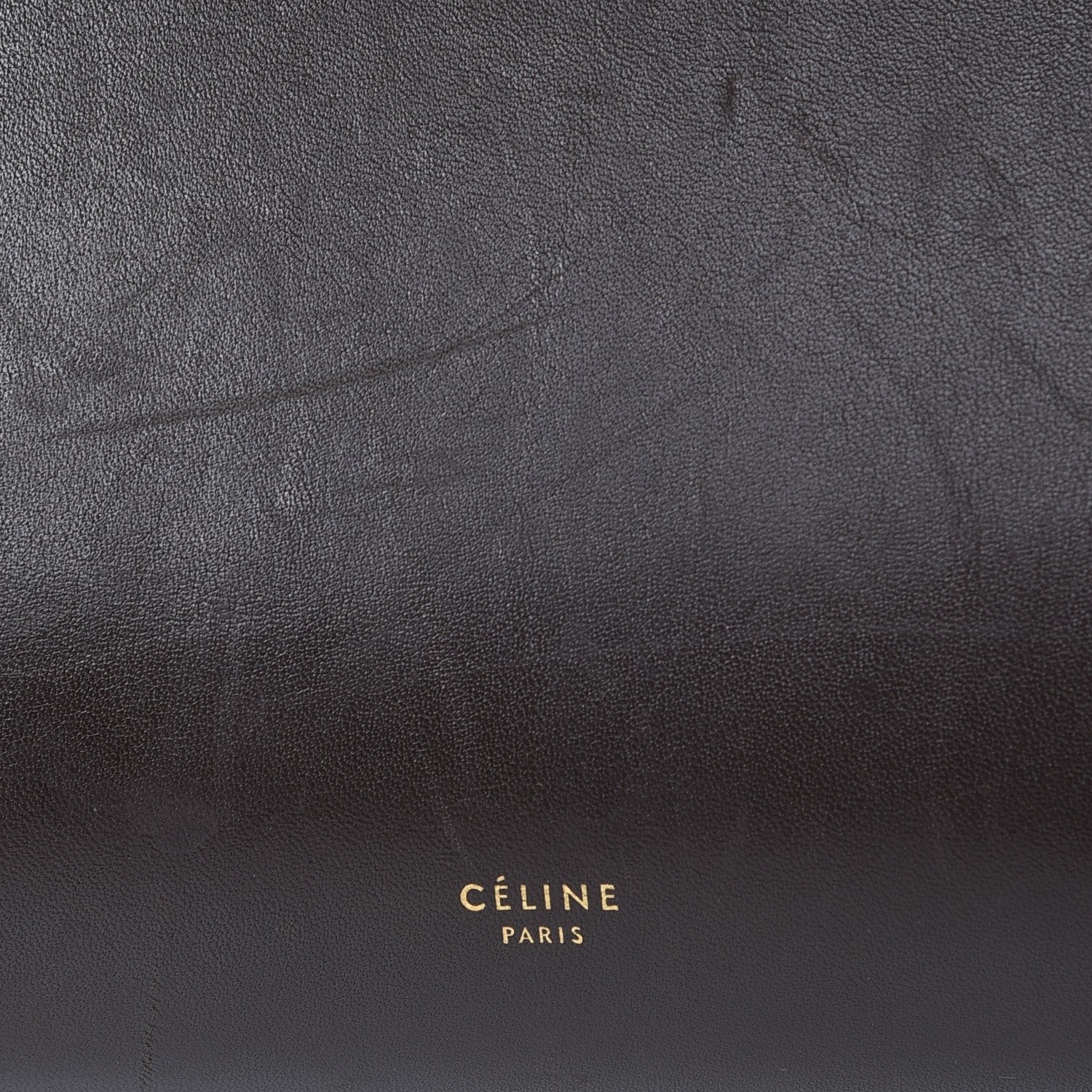 Celine Supersoft Calfskin Mini Belt Bag Wood 6 of 18
