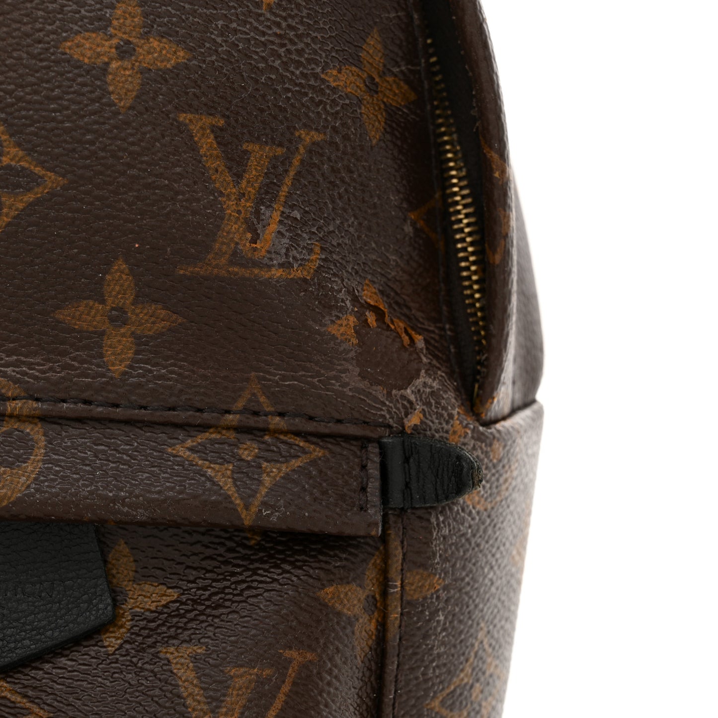 Monogram Palm Springs Backpack Mini