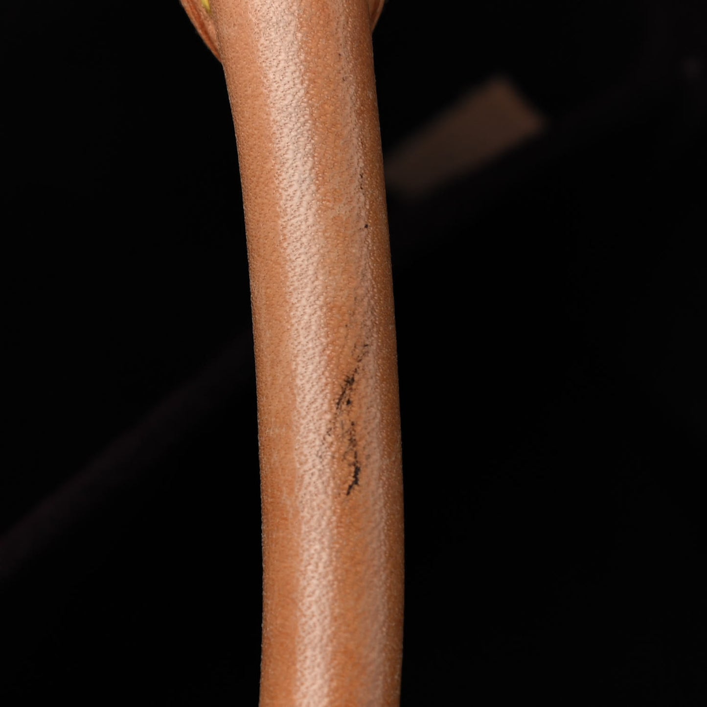 Monogram Montaigne GM