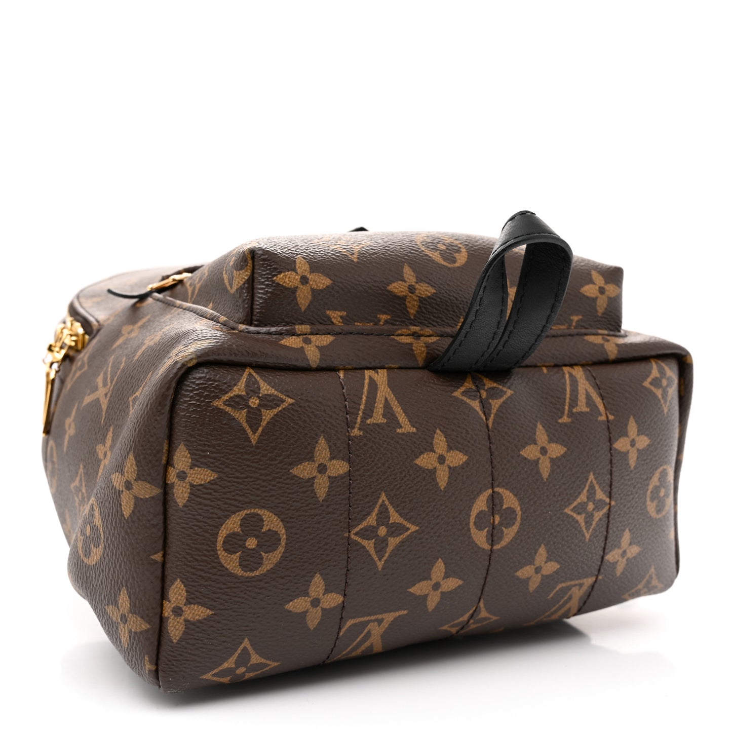 Monogram Palm Springs Backpack PM
