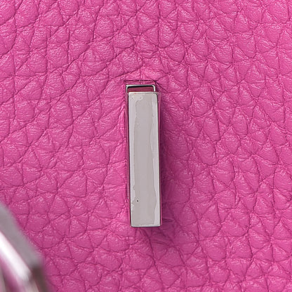 Hermes Togo Birkin 25 Magnolia 23 of 37