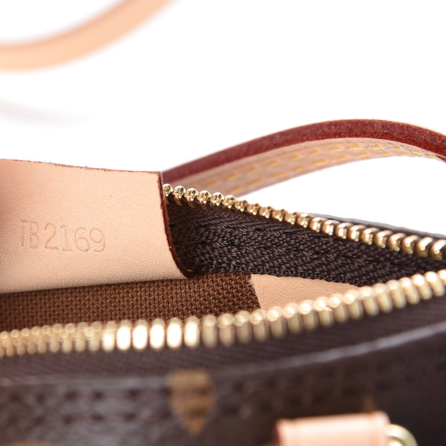 Monogram Nano Speedy