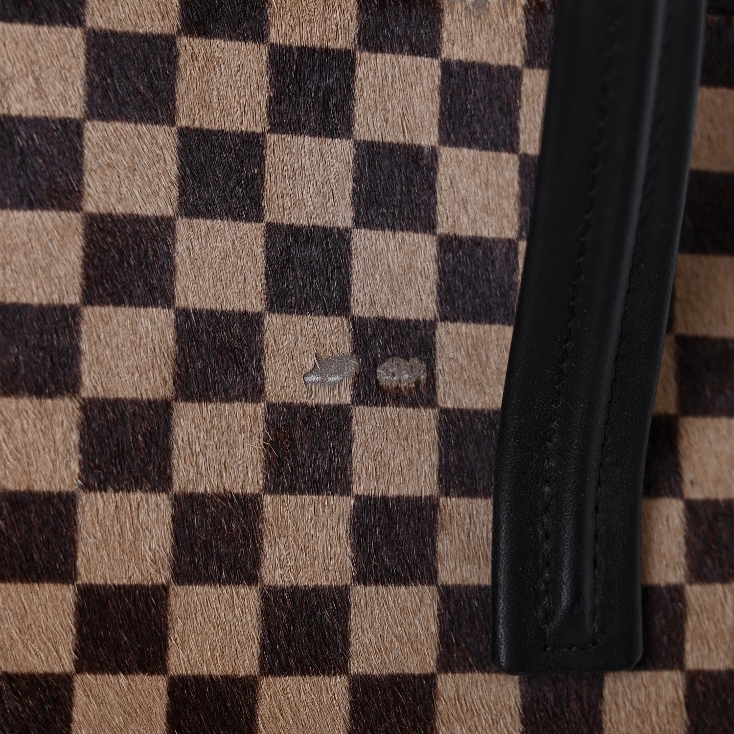 Louis Vuitton Damier Calf Hair Sauvage Lionne 13 of 18