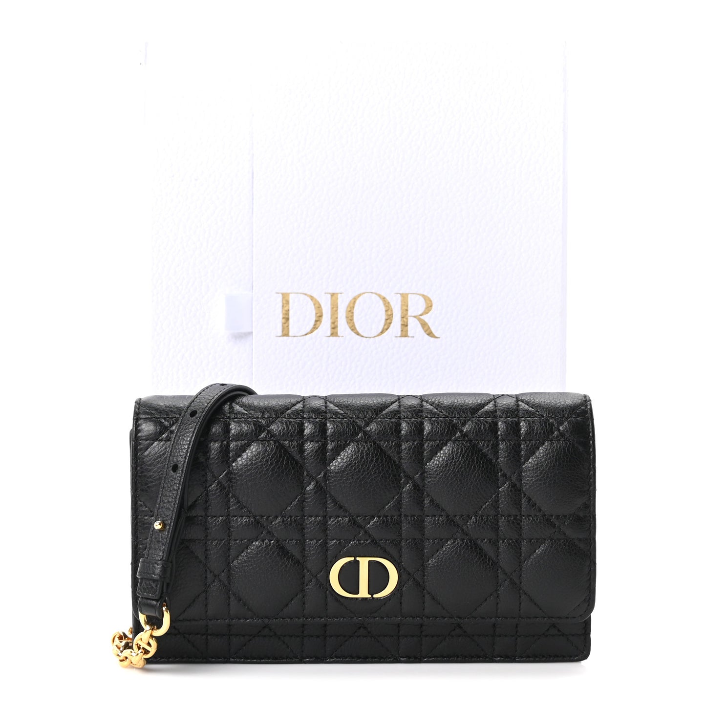 Supple Calfskin Caro Pouch with Chain Black