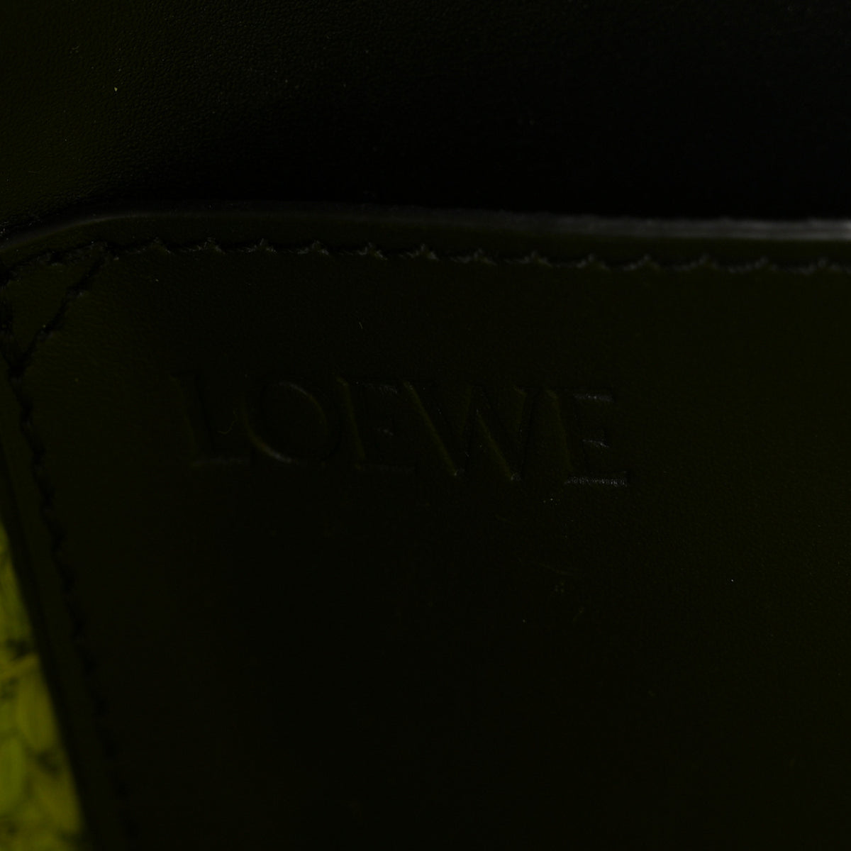 Loewe X PAULA'S IBIZA Raffia Medium  Font Tote Meadow Green 6 of 10