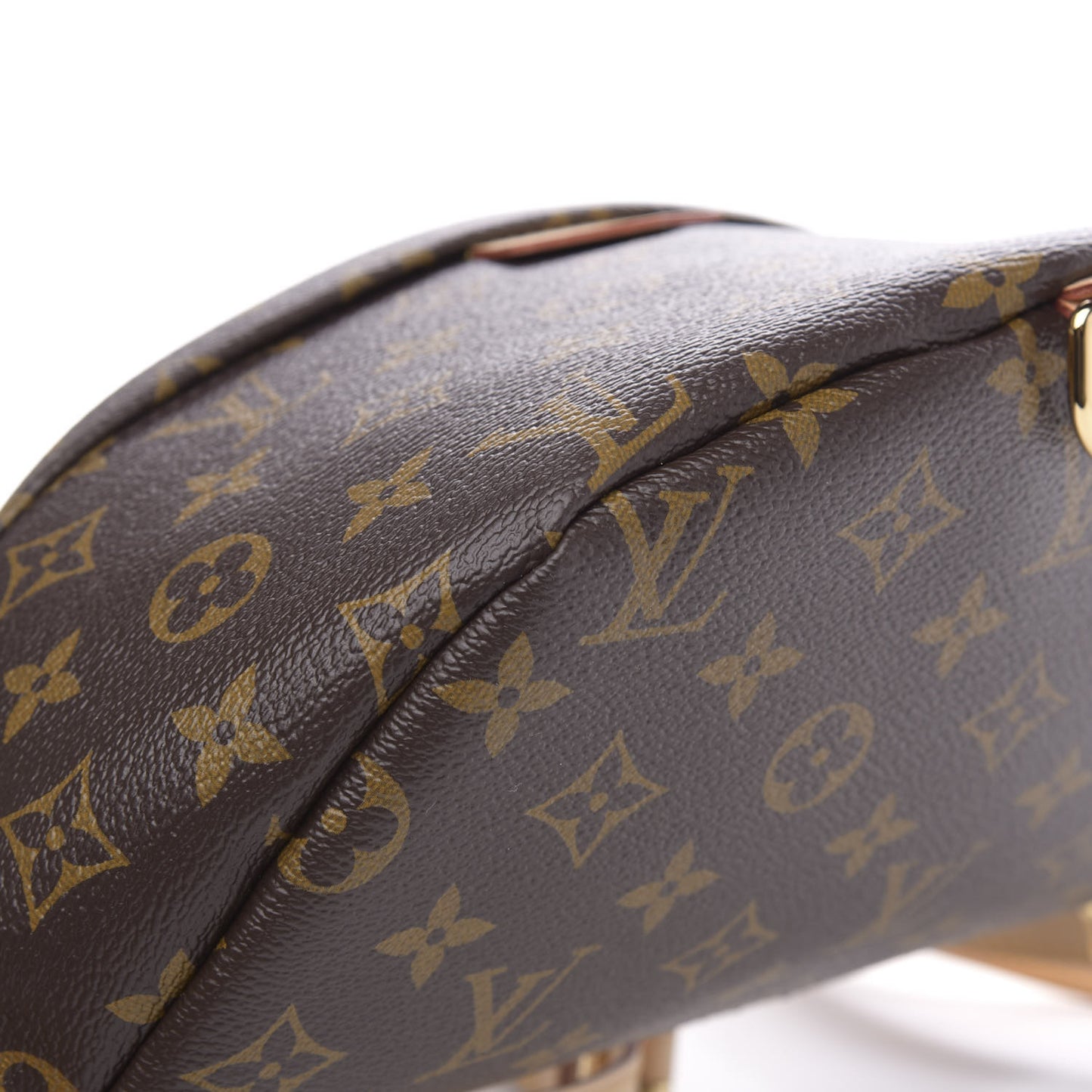 Monogram Bumbag