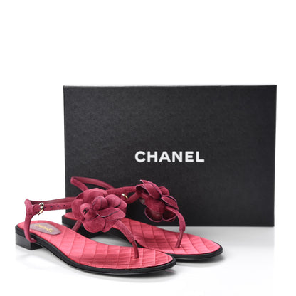 Chanel Suede Calfskin Camellia Thong Sandals 41 Dark Pink 10 of 10