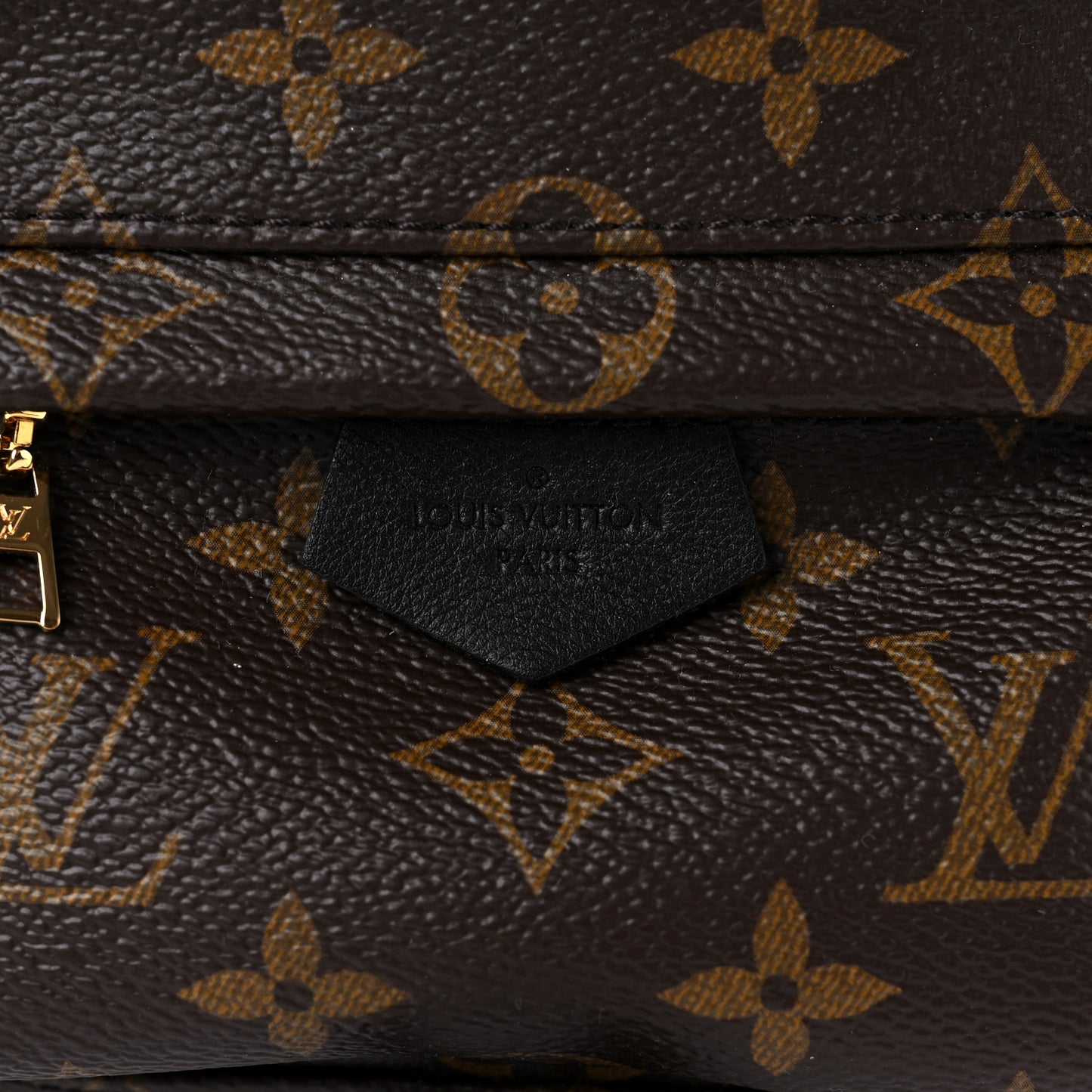 Monogram Palm Springs Backpack Mini