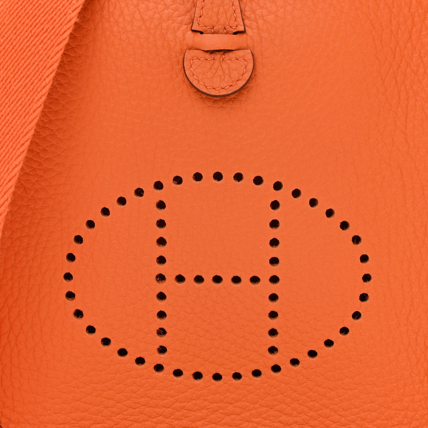 Taurillon Clemence Evelyne TPM Orange