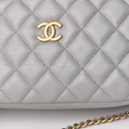 Chanel Iridescent Calfskin Quilted Day Trips Camera Case Light Grey 11 of 13