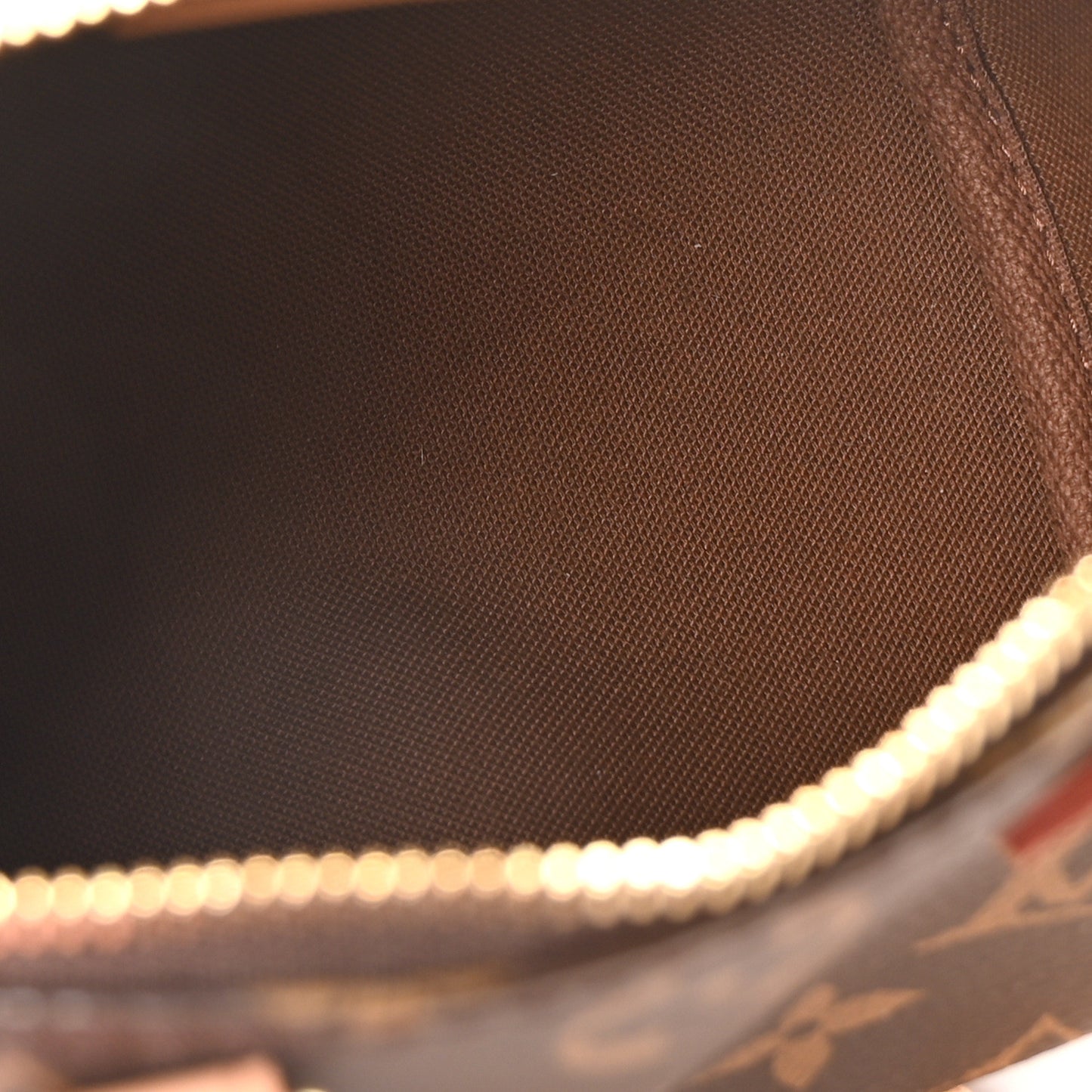 Monogram Nano Speedy