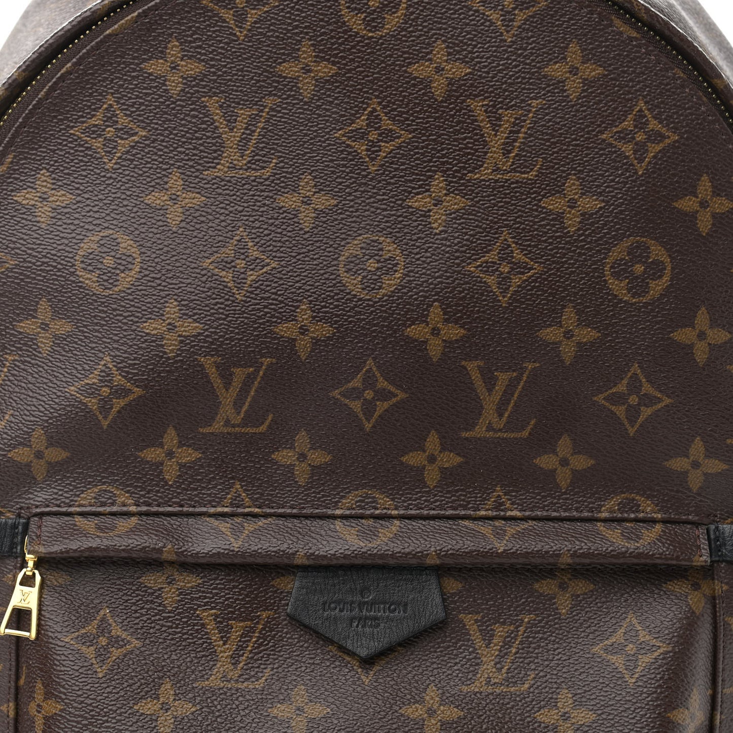 Monogram Palm Springs Backpack MM