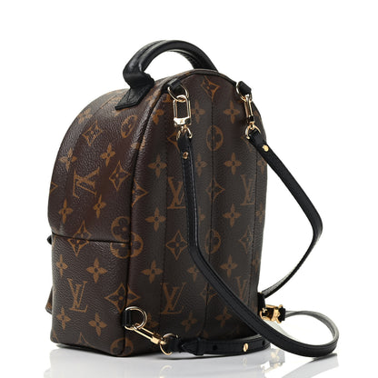 Louis Vuitton Monogram Palm Springs Backpack Mini 3 of 9