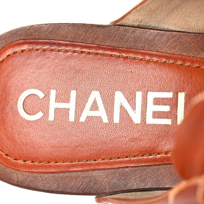 Chanel Calfskin Camellia Clogs 36 Brown 9 of 11