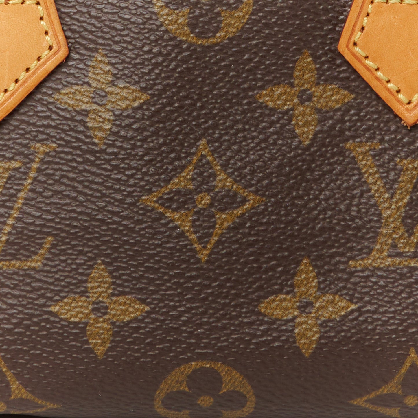 Monogram Mini Sac HL Speedy