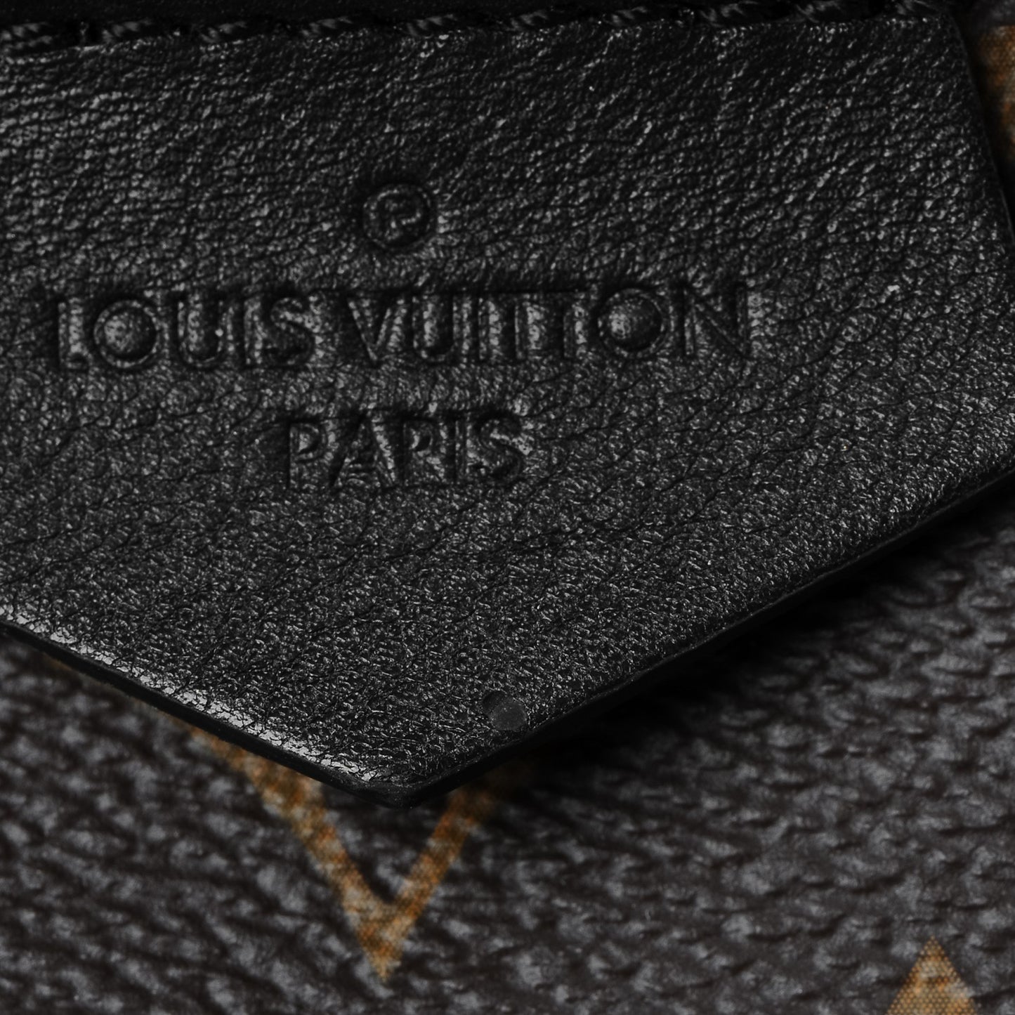 Monogram Palm Springs Backpack MM