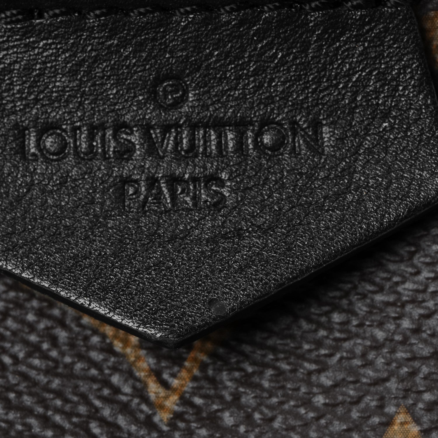 Louis Vuitton Monogram Palm Springs Backpack MM 8 of 9