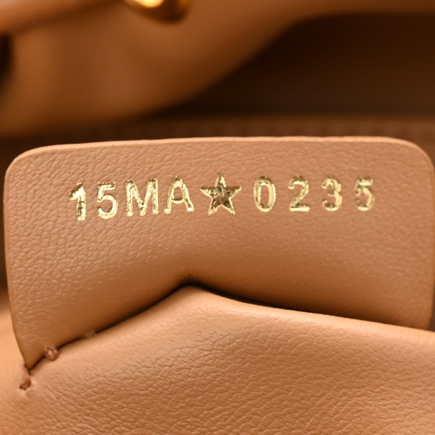 Lambskin Macrocannage Caro Nano Bucket Bag Light Gold