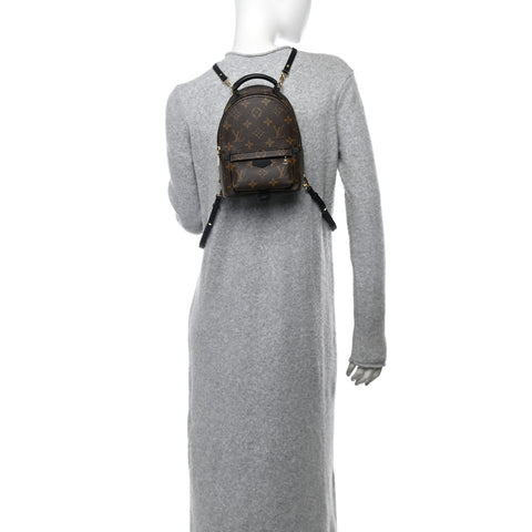 Monogram Palm Springs Backpack Mini