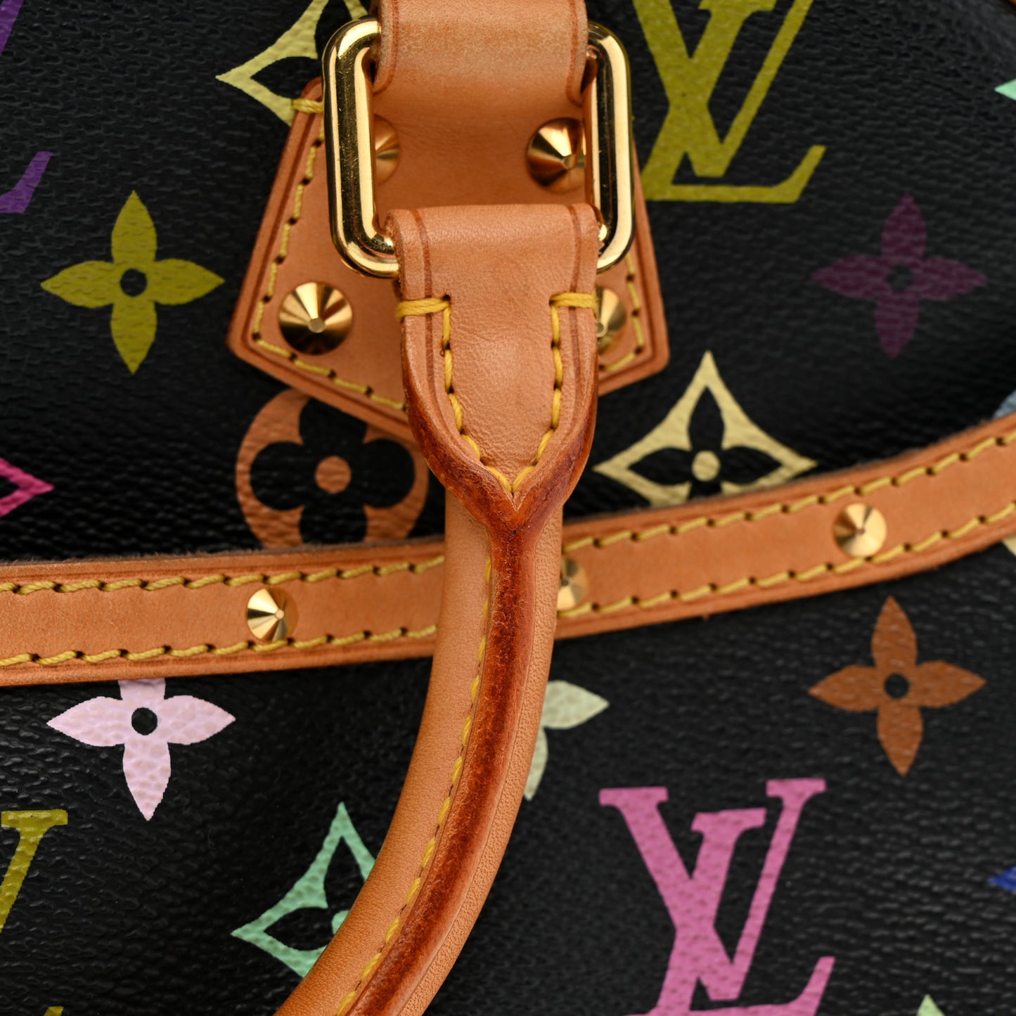 Monogram Multicolor Trouville Black