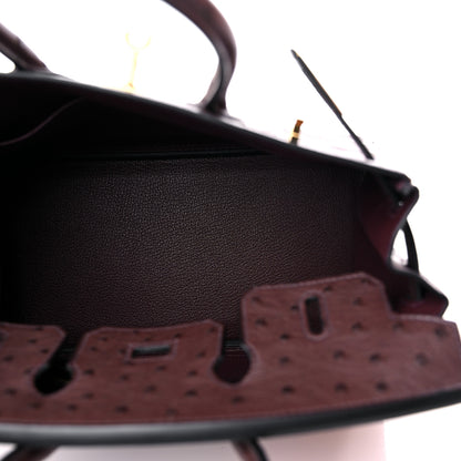 Hermes Ostrich Birkin 25 Rouge Sellier 5 of 10