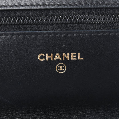 Chanel Lambskin Quilted Chanel 19 Wallet On Chain WOC Black 5 of 9
